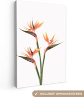 Canvas Schilderij Bloemen - Oranje - Natuur - Planten - 60x90 cm - Wanddecoratie