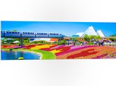 WallClassics - PVC Schuimplaat - Kleurrijk Bloemenveld in Park - 120x40 cm Foto op PVC Schuimplaat (Met Ophangsysteem)