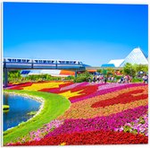 WallClassics - PVC Schuimplaat - Kleurrijk Bloemenveld in Park - 50x50 cm Foto op PVC Schuimplaat (Met Ophangsysteem)