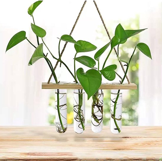 Wandvazen om op te hangen, glazen vaas voor decoratie, bloemen, planten Wandvazen om op te hangen, glazen vaas voor decoratie, bloemen, planten