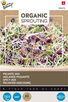 Buzzy® Organic Sprouting Salademengsel pikant (BIO) - ca. 30 gram