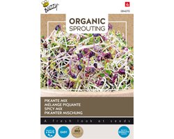 Buzzy® Organic Sprouting Salademengsel pikant (BIO) - ca. 30 gram