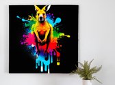 Rainbow 'roo kunst - 30x30 centimeter op Canvas | Foto op Canvas - wanddecoratie