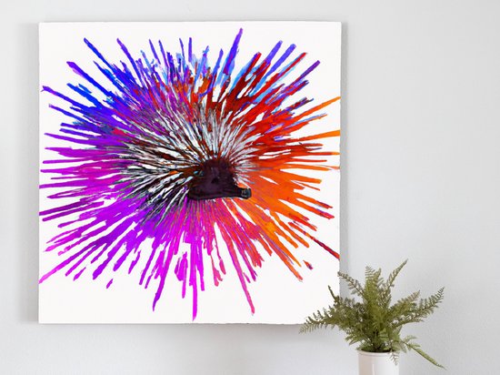 Vibrant echidna burst | Vibrant Echidna Burst | Kunst - 80x80 centimeter op Dibond | Foto op Dibond - wanddecoratie schilderij