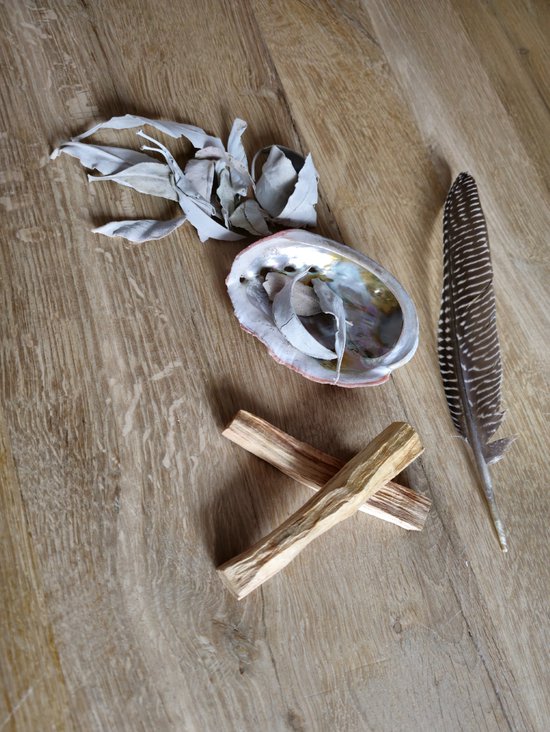 Reinig je huis pakket salie Palo Santo Abalone schelp Smudge Veer bol