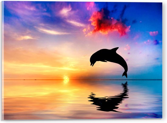 WallClassics - Acrylglas - Zonsondergang bij Silhouet van Dolfijn boven Water in Kleurrijke Omgeving - 40x30 cm Foto op Acrylglas (Wanddecoratie op Acrylaat)