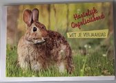Hartelijk gefeliciteerd met je verjaardag! Een schattige kaart met een lief konijn in het gras. Speciaal voor alle mensen die een konijn als huisdier hebben. Een dubbele wenskaart inclusief envelop en in folie verpakt.