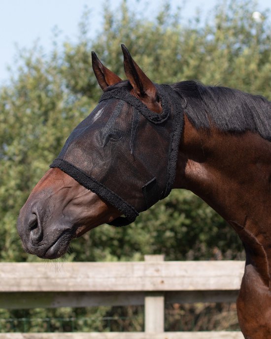 Foto: Qhp vliegenkap zonder oren zwart pony