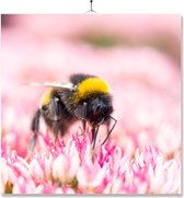 Carrelage Avec Impression | Cadeau | Cadeau d'anniversaire | Abeille