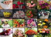 Collage - Flowers - Puzzel 2000 stukjes