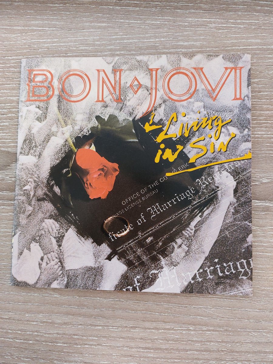 Bon Jovi Living in Sin