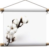 Textielposter - Witte Katoenbollentak tegen Witte Achtergrond - 40x30 cm Foto op Textiel