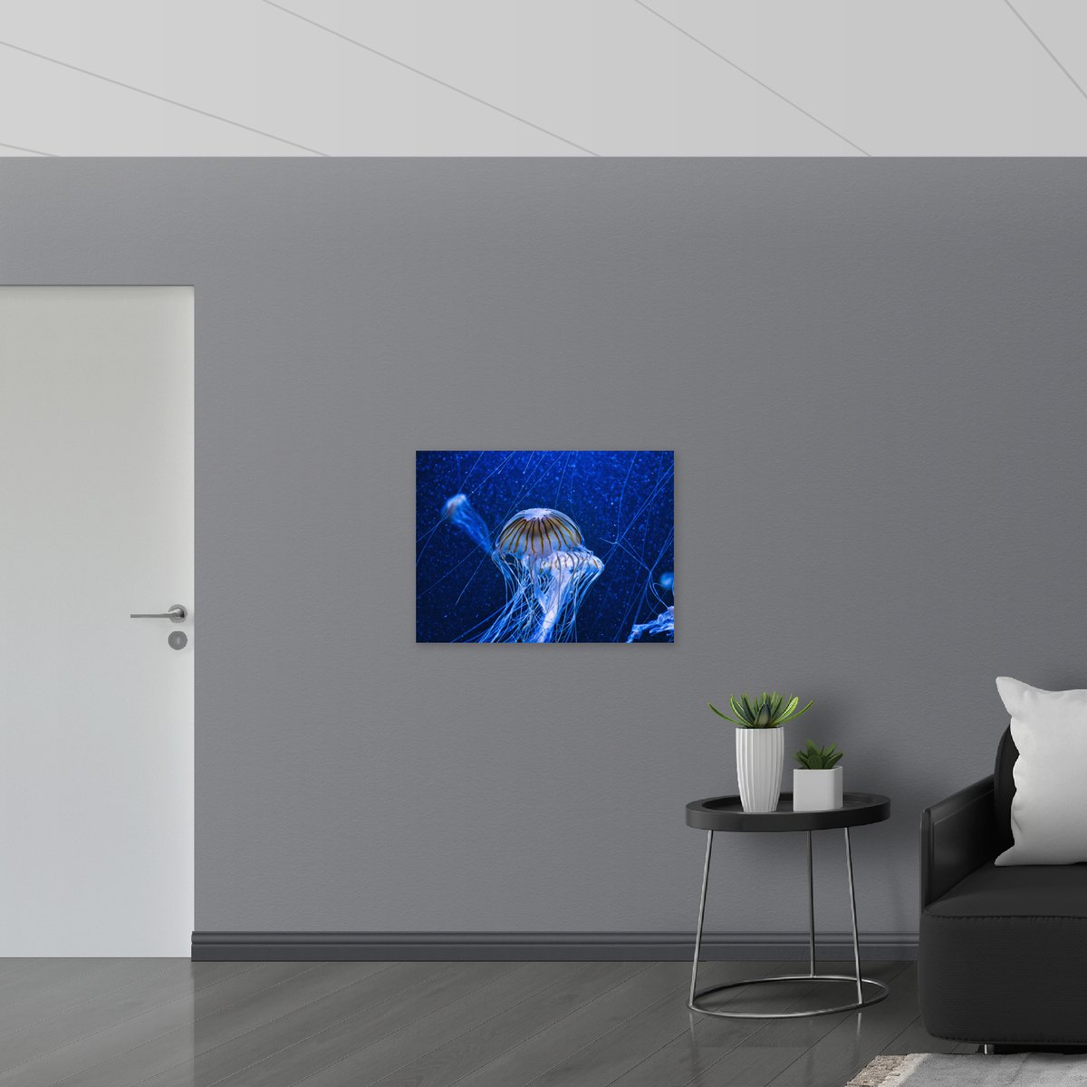 Acrylglas - Wit met Bruine Kwallen Zwemmend in Aquarium - 80x60 cm Foto op Acrylglas (Met Ophangsysteem)
