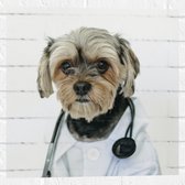 Muursticker - Hond Verkleed als Dokter - 50x50 cm Foto op Muursticker