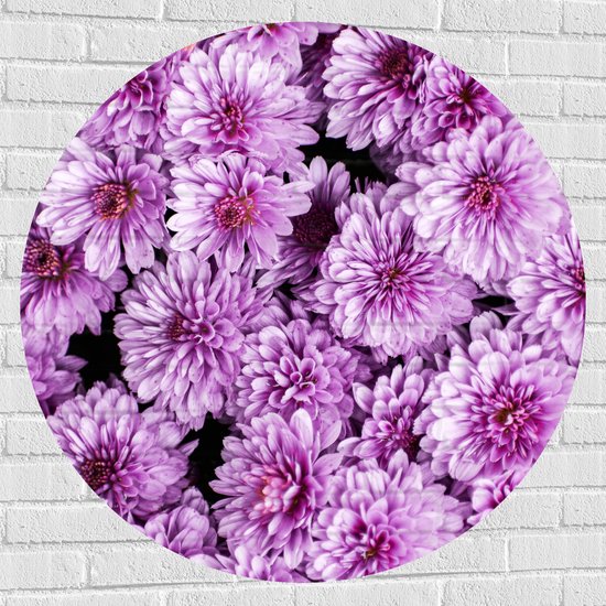 Muursticker Cirkel - Meerdere Paars met Roze Bloemen - 100x100 cm Foto op Muursticker