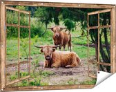 120 cm x 80 cm