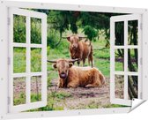 Gards Affiche de jardin See-through Two Scottish Highlanders in the Forêts - 180x120 cm - Toile de jardin - Décoration de jardin - Décoration murale extérieur - Tableau de jardin