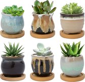 6,5 cm keramische vetplantenpot, cactusplantenbakken voor binnenplanten, kleine bloempot met afvoergat vloeiend glazuur en bamboe plaat, set van 6