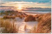 Posters de jardin extérieur Dune - Plantes - Coucher de soleil - Plage - Mer - 90x60 cm - Toile jardin - Affiche extérieure