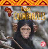 Baby African Animals - Baby Chimpanzees