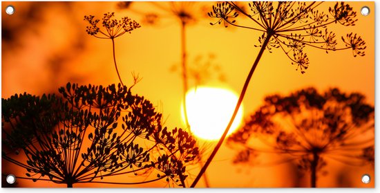 Tuinposter Planten - Bloemen - Zonsondergang - Oranje - 80x40 cm - Wanddecoratie Buiten - Tuinposter - Tuindoek - Schuttingposter - Tuinschilderij