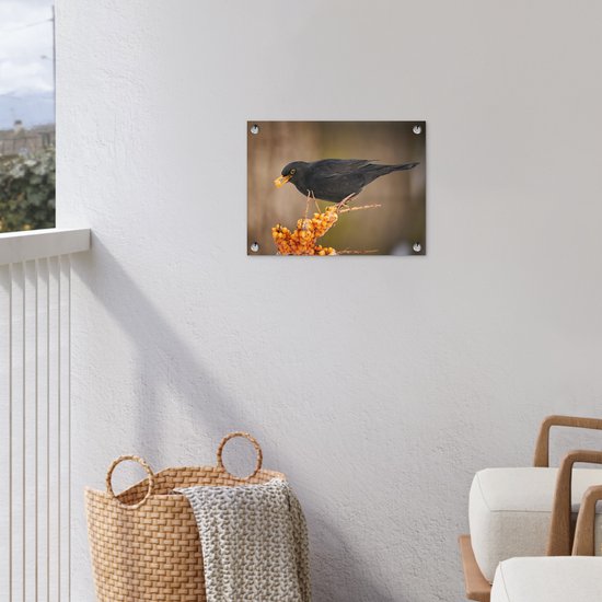 Décoration de Jardin Vogel - Merle - Hiver - Glace - Baie - 40x30 cm - Toile de jardin - Poster extérieur