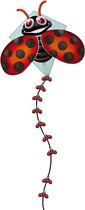 Kites Ready 2 Fly - Cerf-Volant Pop-up Nylon Coccinelle