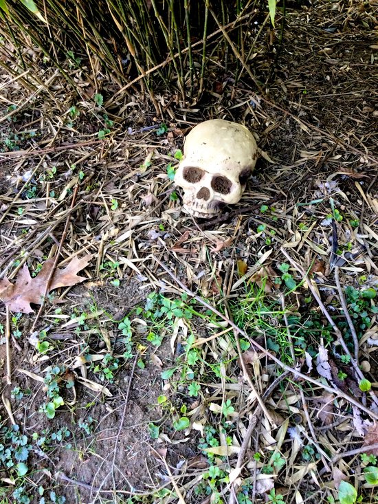 Real Estate Agent Serial Killer (ebook), D.S. Bankert 1230006330651