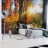 Fotobehangkoning - Fotobehang - Vliesbehang - Behang - Zonsondergang in het Bos - 152,5 x 104 cm