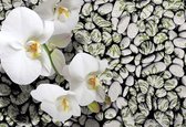 Fotobehang Flowers Orchids Stones | XL - 208cm x 146cm | 130g/m2 Vlies