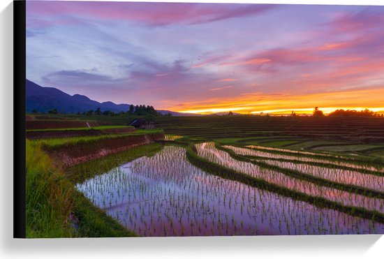 Canvas - Zonsondergang bij de Rijstvelden in Indonesië - 60x40 cm Foto op Canvas Schilderij (Wanddecoratie op Canvas)