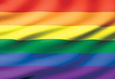 Fotobehang Flag Rainbow Gay Pride | PANORAMIC - 250cm x 104cm | 130g/m2 Vlies