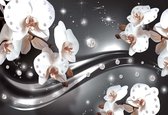 Papier peint Motif Fleurs Orchidées | PORTE - 211cm x 90cm | Polaire 130g / m2