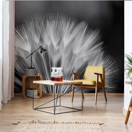 Papier peint photo Fleurs Pissenlit Nature | XXXL - 416 cm x 254 cm | Polaire 130g / m2