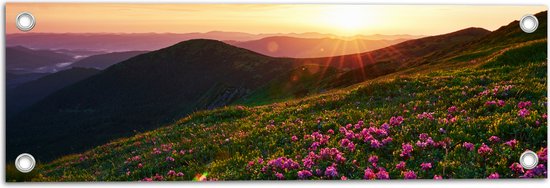 Tuinposter – Zonsondergang Verdwijnend achter Gebergte vol Paarse Bloemen - 60x20 cm Foto op Tuinposter (wanddecoratie voor buiten en binnen)