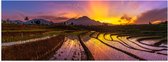 Poster Glanzend – Zonsopkomst achter Berg bij de Indonesische Rijstenvelden - 60x20 cm Foto op Posterpapier met Glanzende Afwerking