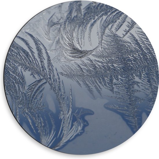 Dibond Muurcirkel - Bevroren Vogel Veren - 50x50 cm Foto op Aluminium Muurcirkel (met ophangsysteem)