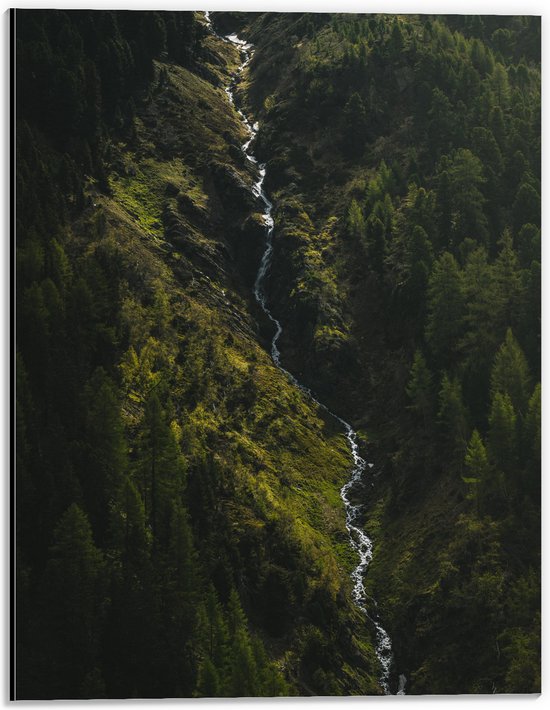 WallClassics - Dibond - Klein Stromend Water tussen Dichtbegroeide Groene Bomen - 30x40 cm Foto op Aluminium (Met Ophangsysteem)