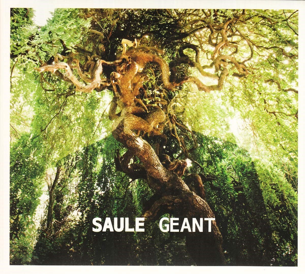 Saule - Geant (LP)