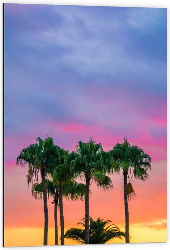 WallClassics - Dibond - Palmbomen met Kleurrijke Lucht - 60x90 cm Foto op Aluminium (Wanddecoratie van metaal)