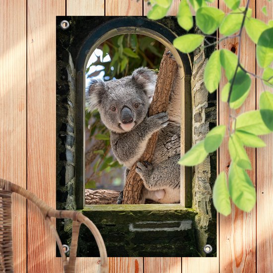 Tuinposter Doorkijk Koala