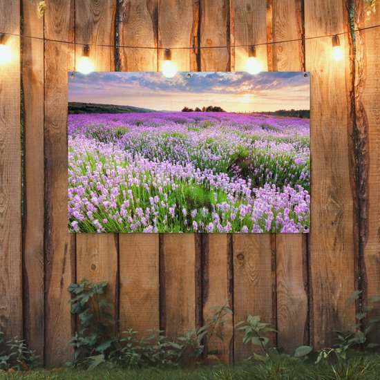 Een tuinposter met een paarse lavendelweide bij zonsondergang, hangend aan een rustieke houten schutting met sfeerverlichting.