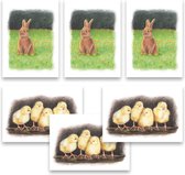 Paaskaarten | Set van 6 | Kuikentjes en konijn in pastel | Illu-Straver