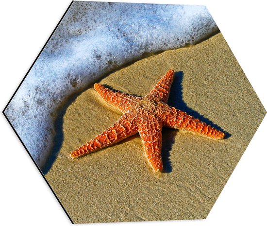 WallClassics - Dibond Hexagon - Oranje Zeester bij Schuimende Golven op het Strand - 50x43.5 cm Foto op Hexagon (Met Ophangsysteem)