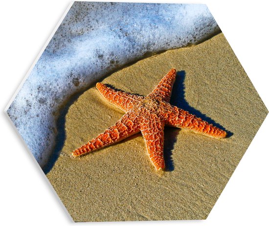 WallClassics - PVC Schuimplaat Hexagon - Oranje Zeester bij Schuimende Golven op het Strand - 30x26.1 cm Foto op Hexagon (Met Ophangsysteem)