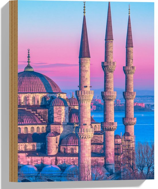Hout - Sultan Ahmetmoskee in Istanbul met Roze Blauwe Lucht - 30x40 cm - 9 mm dik - Foto op Hout (Met Ophangsysteem)
