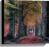 WallClassics - Toile - Chemin dans la forêt en automne - 40x40 cm Photo sur toile (Décoration murale sur toile)