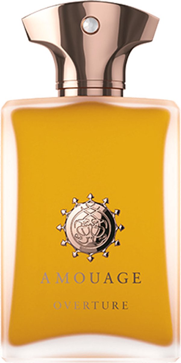 Goedkoopste Amouage Overture Man Eau de Parfum 100ml