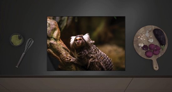 Inductie Beschermer - Omhoogkijkende Marmoset Aap op Rots - 70x52 cm ...