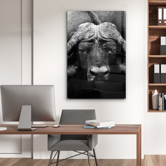Peinture sur verre - Photo sur verre - Verre acrylique - Animaux - Buffalo - Zwart - Wit - Décoration murale animaux - 60x90 cm - Salon - Décoration de chambre - Décoration murale